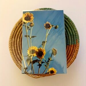 🩵🌻 4x6 Sunflower Print
